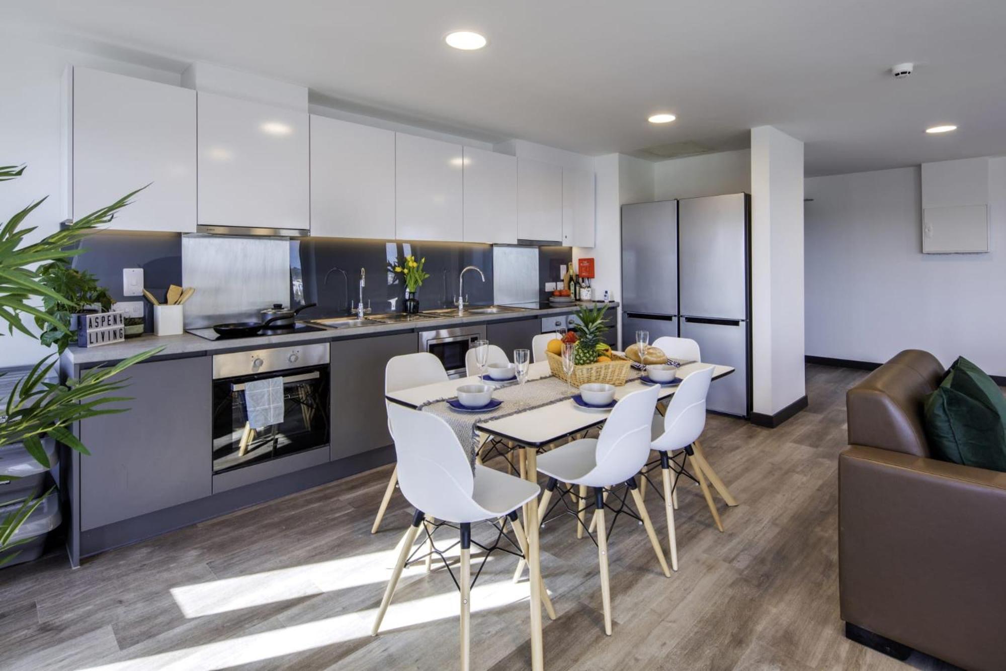 Апартаменты Aspen House In Дублин Экстерьер фото